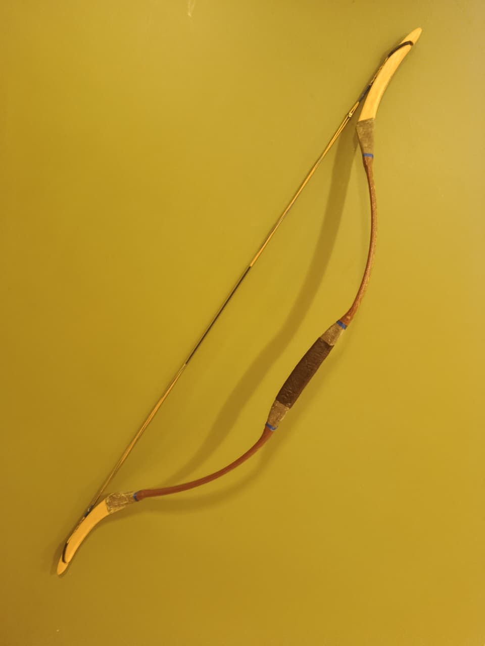 ARCO MONGOL ODISSEIA